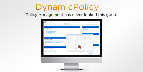 DynamicPolicy 6